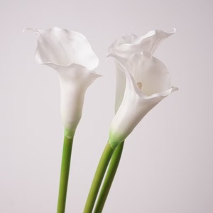 <span class=keywords><strong>Ramo</strong></span> <span class=keywords><strong>de</strong></span> <span class=keywords><strong>Flores</strong></span> <span class=keywords><strong>de</strong></span> Lirio <span class=keywords><strong>de</strong></span> Cala Artificiales Decorativas Real Touch Wed para Venta al por Mayor, Decoración <span class=keywords><strong>de</strong></span> Pascua, Bodas y Graduaciones - Product Image 6