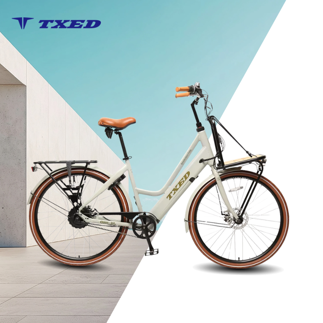 TXED Classical 36V 10.4AH Lithium Battery 250W Rear Hub Motor Hydraulic Disc Brake Freight Electric City Bike