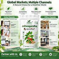 Ashwagandha Extract Softgel 300mg met MCT-olie Zwarte Peper Hoge Absortie Dagelijkse Wellness OEM