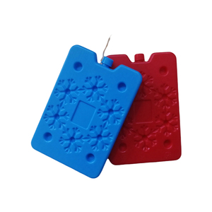 Oem Custom Herbruikbare Hdpe Plastic Ijspak Geïsoleerde Thermische Waterdichte Ijsdoos En Baksteen Voor Voedselopslag Strand Gebruik Groothandel