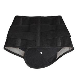Fully <b>elastic</b> waistband, black mesh breathable waistband, lumbar support, summer lumbar support <b>belt</b> with steel plate lumbar - Product Image 5