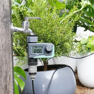 RainPoint BSP European thread Digital LCD mini Garden Water Timer controller di irrigazione per l'irrigazione del giardino di casa