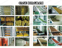 Chine usine fruits déshydratés machine maïs-grain séchage machine sèche