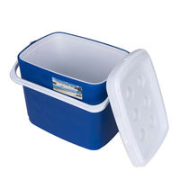 Glacière isotherme portable 20L à faible MOQ pour pique-nique, extérieur, réceptions et voyages