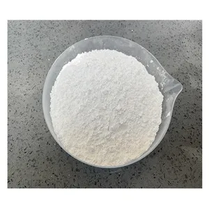 Poudre de carbonate de calcium Caco3 calcaire marbré superfin de haute pureté