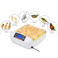 Nouvel incubateur mini automatique de qualité supérieure pour 56 œufs, avec éclairage LED, taux d'éclosion de 96%-98%, haute productivité, approuvé CE