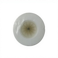 Cartouche filtrante en PP soufflé à chaud de marque DM, 60 pouces, 1-100 microns, noyau en PP, 30 L/heure, garantie non disponible pour le traitement de l'eau