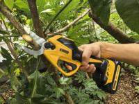 Sécateur électrique sans balais de 25mm, ciseaux portables à haute efficacité pour le jardin des arbres fruitiers, batterie 20V, sans fil