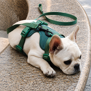 Conjunto de Arnés Resistente para Perro de 4 Piezas con Correa de PVC Impermeable, Collar, Chaleco Oxford Antiescape y Porta Bolsas para Excrementos - Product Image 4