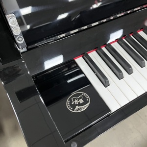 Pearl River Piano Wholesale Factory Direct Supply Quality Upright Pianos with Rich Tone and Stable Performance for Dealer - Product Image 1