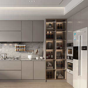 خزائن مطبخ فاخرة مخصصة من الفولاذ المقاوم للصدأ 304، تصميم عالي الجودة للتخزين - Product Image 1