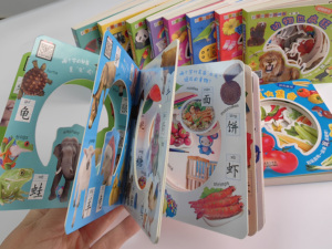 Custom Disposable Gift Foldable Educational Cardboard Book with Four-Color Printing for Children Learning Shapes and Objects - Product Image 5