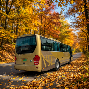 Autobús Eléctrico Comercial de Gran Tamaño, Año 2017, Alta Tasa de Utilización, Sistema Completo, de China, en Venta - Product Image 1