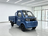 Mini pick-up électrique avec benne de chargement, 4 roues, pour adultes, doté d'un moteur de 2000W, vitesse de 50 km/h, pour la livraison, la logistique agricole et urbaine.