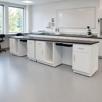 Meuble de laboratoire scolaire tout acier personnalisé avec armoire de rangement pour ordinateur, 2 tiroirs, garantie de 2 ans - Mobilier de laboratoire professionnel pour