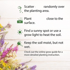 Kit de plantation de 21 sachets de graines de fleurs <span class=keywords><strong>sauvages</strong></span> pour abeilles et papillons indigènes, pour <span class=keywords><strong>jardin</strong></span> suspendu ou au sol - Product Image 3