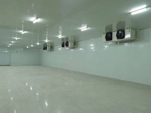 Doluyo ห้อง<span class=keywords><strong>เย็น</strong></span>กล่องเก็บน้ําแข็งห้องเย็น -18 องศาหน่วยควบแน่นและเครื่องระเหยราคาแผงห้อง<span class=keywords><strong>เย็น</strong></span>และประตูสําหรับขาย - Product Image 2