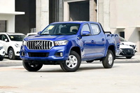 Chase Interstellar 2023, Interstellar R 2.0T Diesel manuel à deux roues motrices, édition de luxe, boîtier long
