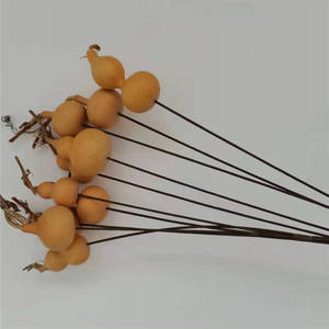 DFS51 labu Splicing kualitas tinggi INS bunga kering alami populer labu calabash & lagenaria <span class=keywords><strong>siceraria</strong></span> untuk dekorasi rumah - Product Image 4