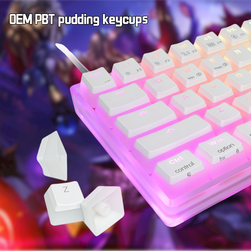 SK61 GK61 Mechanical Keyboard - Translucent Case & Pudding