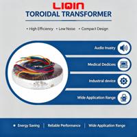 Transformateur toroïdal monophasé personnalisé de 100W à 50KW pour usage médical