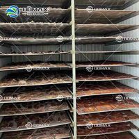 Équipement avancé pour la fabrication de biltong de bœuf, ligne de transformation du bœuf, machine à faire du biltong de bœuf
