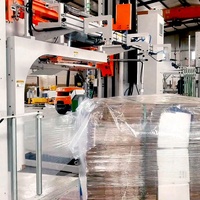 Machine d'emballage automatique de palettes de type arche, machine d'emballage de palettes avec bande PP PET et machine d'emballage de cartons