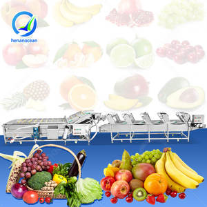 Línea de Procesamiento Automático OCEAN para Lavado, Secado y Empaquetado de Frutas y Verduras, Máquina de Lavado y Secado de Zanahorias - Product Image 1