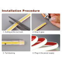 Bande lumineuse LED flexible en PVC pour extérieur, 110V/220V, COB, 50m, 100m, 288 LED, IP65, étanche, avec prise, CRI90, 2700K, blanc chaud, dimmable