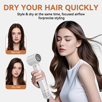 Styler multi-air 5 en 1, sèche-cheveux en une seule étape, souffleur d'air chaud, outils de coiffage rotatifs, styler 1000W, styler à air chaud