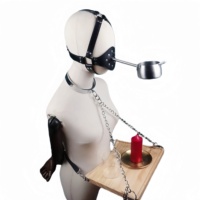 Ensemble de jouets sexuels SM pour esclaves masculins et féminins, comprenant un plateau de réglage de goût intense, un cendrier, un plug anal, un clip pour les mamelons, un jouet sexuel pour esclaves, un ensemble de dressage pour esclaves pervers