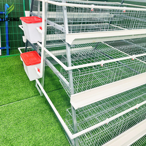 Sistema de Jaulas para Gallinas Ponedoras Tipo <span class=keywords><strong>A</strong></span>, Jaulas Automáticas de 3-4 Niveles para 10000 Aves, Crí<span class=keywords><strong>a</strong></span> de Aves de Corral - Product Image 4