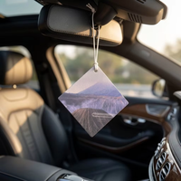 Comprimés d'aromathérapie en papier pour désodorisants de parfum de poire pour l'éliminateur d'odeurs monté sur la voiture à usage domestique de bureau de voiture