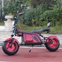 Scooter électrique Citycoco à grande roue, 2 places, avec certificat CE, directement de l'usine