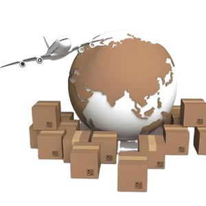 Chine vers l'Asie du Sud-Est Barbade Trinité-et-Tobago Guyane Bahamas Jamaïque pour une livraison rapide de fret aérien - Product Image 2