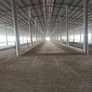 Estructura de Acero para Construcción de Establos de Vacas <span class=keywords><strong>con</strong></span> Acero Q345B para un Diseño de Granja Eficiente y Duradero - Product Image 6