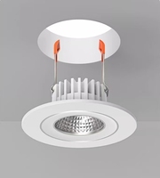 Projecteur LED 10W 15W 20W RGB PIR Dimmable 12V 24V en Aluminium Pur 3000K 4000K 6500K