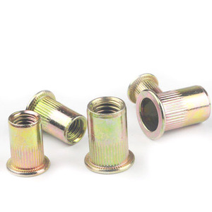 Color zinc remaches <span class=keywords><strong>tuercas</strong></span> M4 M5 M6 M8 <span class=keywords><strong>M10</strong></span> remaches <span class=keywords><strong>tuercas</strong></span> - Product Image 3