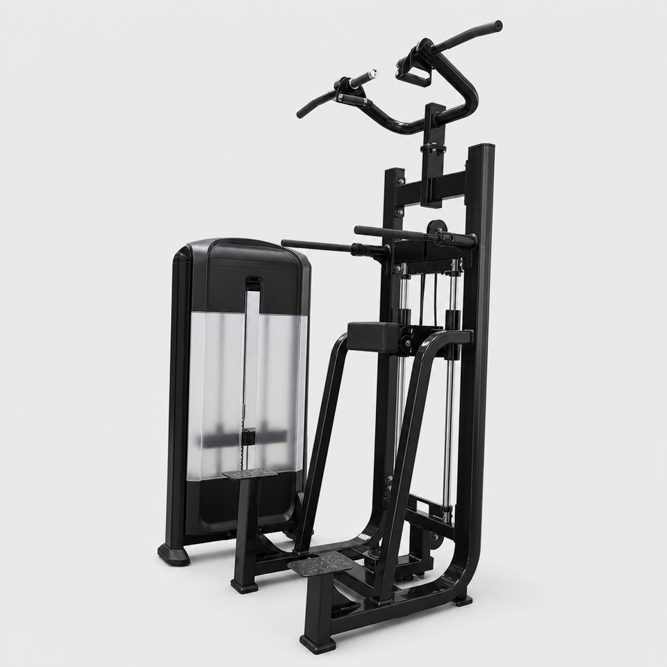Dips Exercvise AOBIDE FB09 Assisted Chin Up Dip Machine Commercial Heavy Duty Pin ...