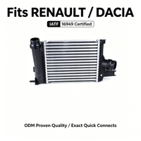 OE 14496-3014R Renault Clio 4 Captur Dacia Intercooler Source ODM Factory pour 96328 RT4642 Remplacement IATF 16949 1.5dCi 1.2