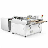 Machine de polissage et d'ébavurage automatique double face Pioneer 220V avec garantie 1 an pour le traitement de surface des cartes PCB
