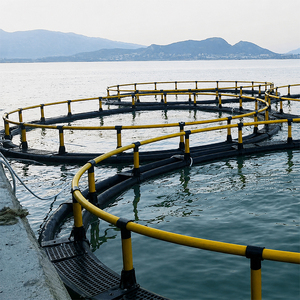 Cage flottante marine durable en PEHD pour l'élevage de bar, système de cages d'aquaculture offshore, équipement commercial pour l'élevage de poissons - Product Image 5