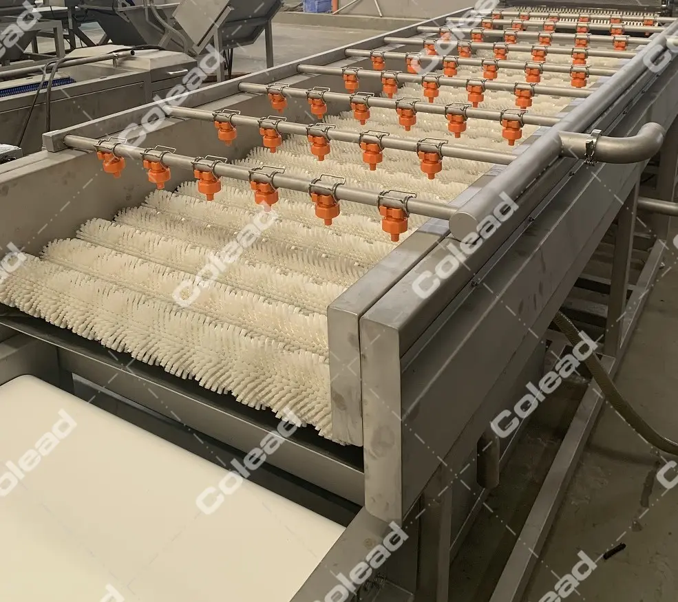 Ginger Washing Machine From COLEAD Brush dates processing machine