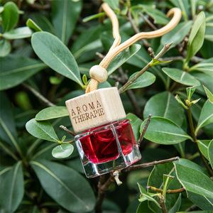 Elegante Botella Difusora de Aceites Esenciales para Coche, Mini, Cuadrada, de Vidrio, Vacía, de 8 ml, con Tapa de Madera Colgante, de Alta Calidad - Product Image 4