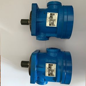 Pompe à palettes YB1-4 YB1-6 YB1-10 YB1-16 YB1-20 YB1-25 YB1-32 YB1-40 YB1-50 YB1-63 Y1-80 YB1-100 – Pièces hydrauliques d'origine Shanghai - Product Image 5