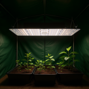 Lámpara LED de Cultivo de 400W de Espectro Completo con Diodos Samsung para Carpas de Cultivo de Alto Rendimiento 4x4 5x5 Pies con Soporte para Regulador de Intensidad y Cuerpo de Aluminio - Product Image 2