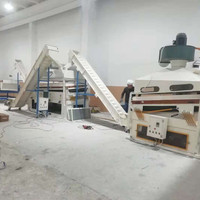 Ligne de production de café complète de 10 tonnes par heure, ligne de traitement des grains de café, machine de tri et de calibrage