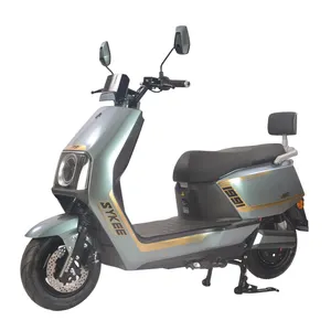 Chinese Factory Low Failure Rate Anti-Theft Vector Controller 1200w Electric Moped Motorcycle For Adults