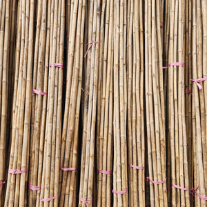 Palos de soporte de jardín de bambú natural para entrenamiento de plantas - Product Image 4