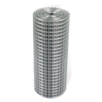 Rouleau de grillage soudé galvanisé 12,7x12,7 mm pour cage d'élevage de cailles